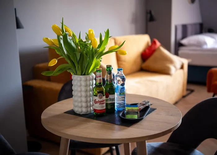 Hotel apartamentowy Drevny Kocur Poznań