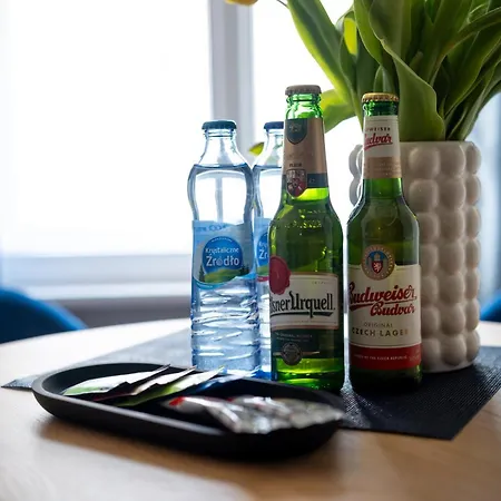 Drevny Kocur Aparthotel Poznaň