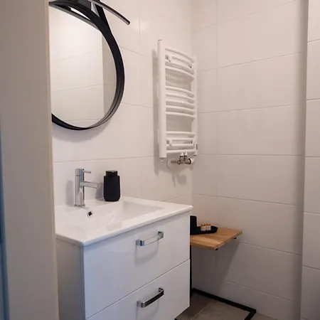 Drevny Kocur Aparthotel Poznaň