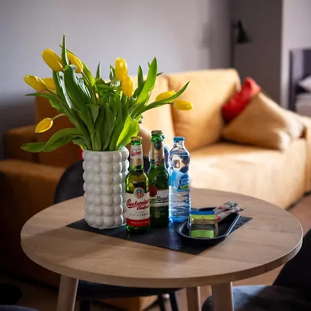 Aparthotel Drevny Kocur Poznan